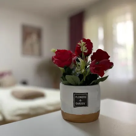 Stankovic Appartement Sokobanja