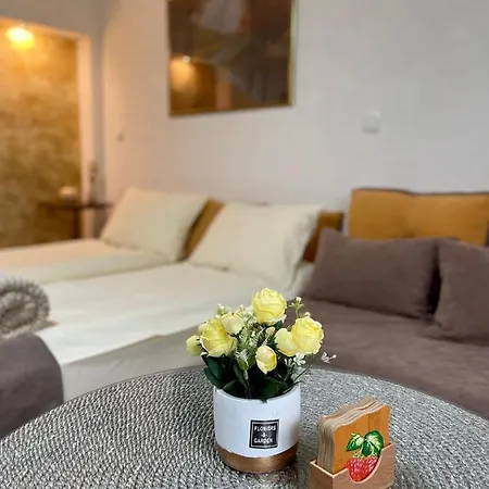 Stankovic * Sokobanja