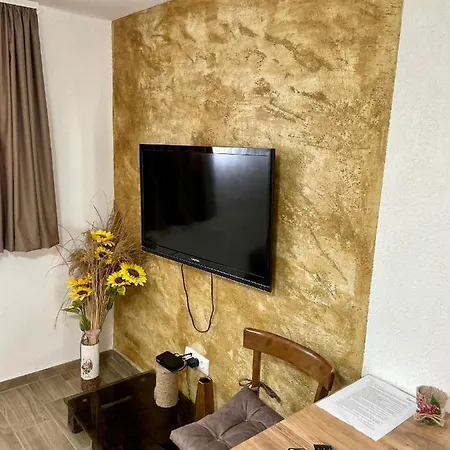 Stankovic Appartement Sokobanja